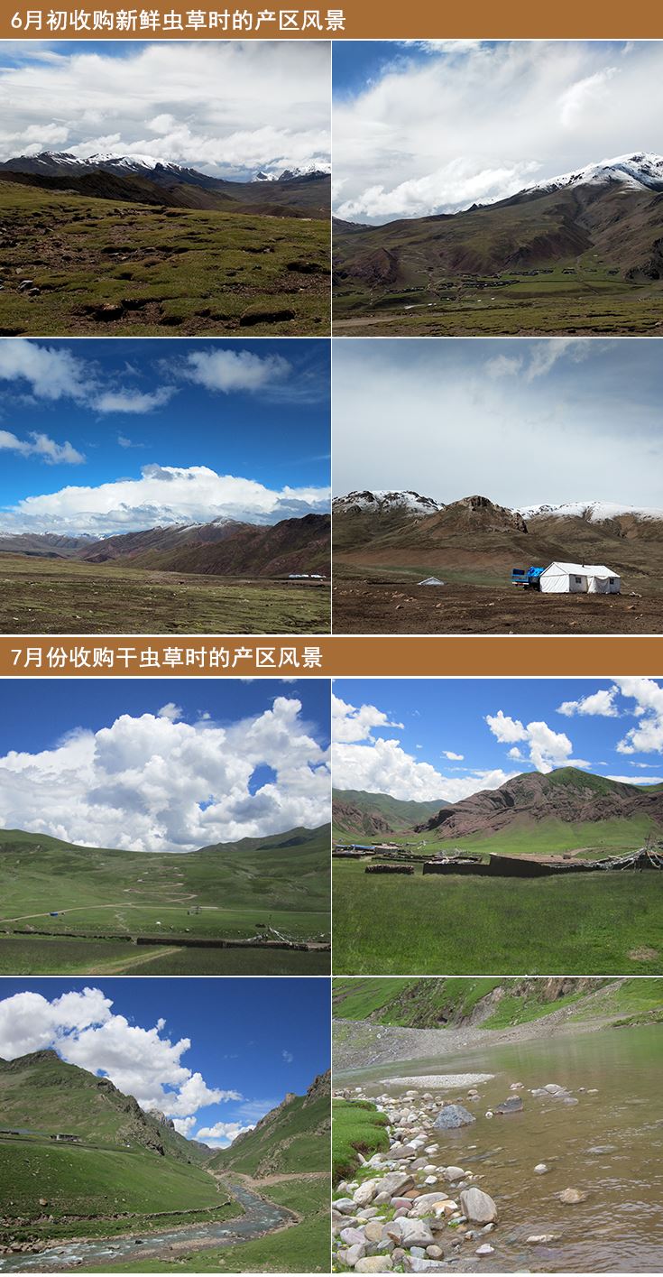 那曲虫草产地,西藏那曲巴青县,那曲免费看成年小说在线观看产地风光